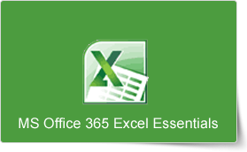 Microsoft Office 365 Excel Essentials